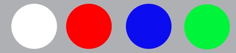 4合1多波长激发光源SLM6300-4NM-白/红/蓝/绿