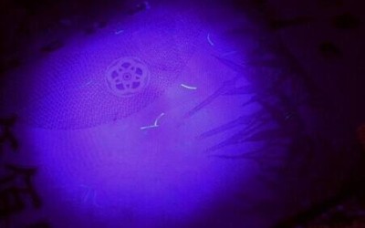 手电筒紫外线检查灯用于乳品生产线清洁检查 手电筒紫外线检查灯用于乳品生产线清洁检查