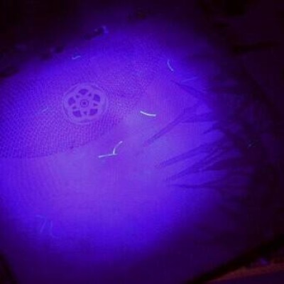 手电筒紫外线检查灯用于乳品生产线清洁检查