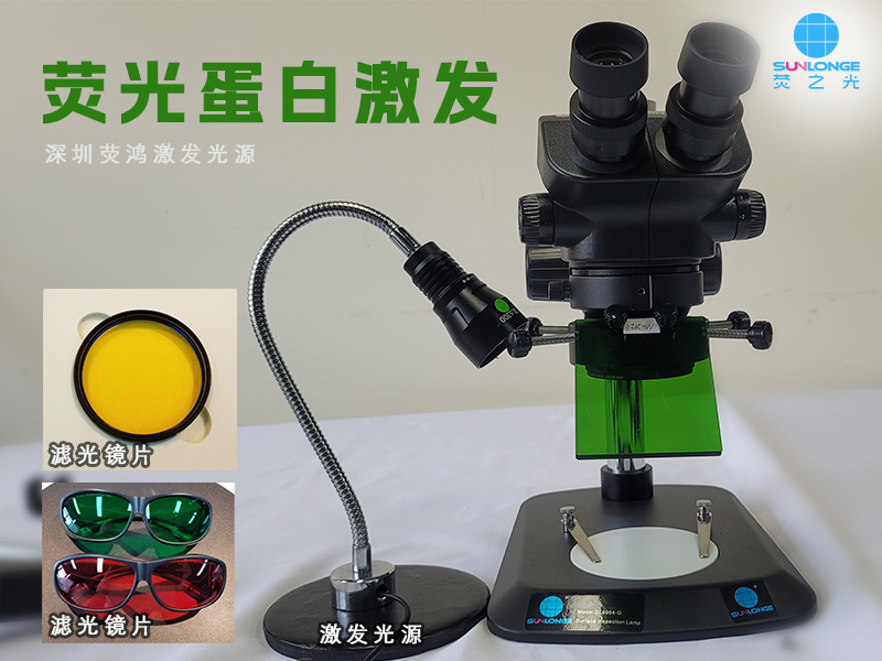 荧光蛋白激发