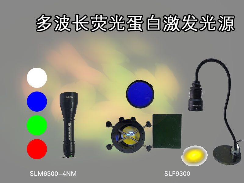 多波长荧光蛋白激发光源