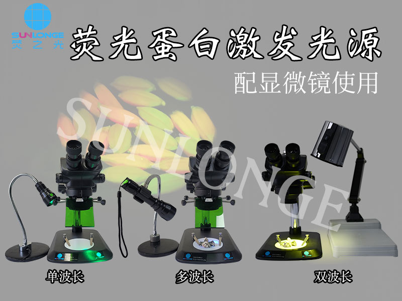 显微镜常用的激发光源 显微镜常用的激发光源