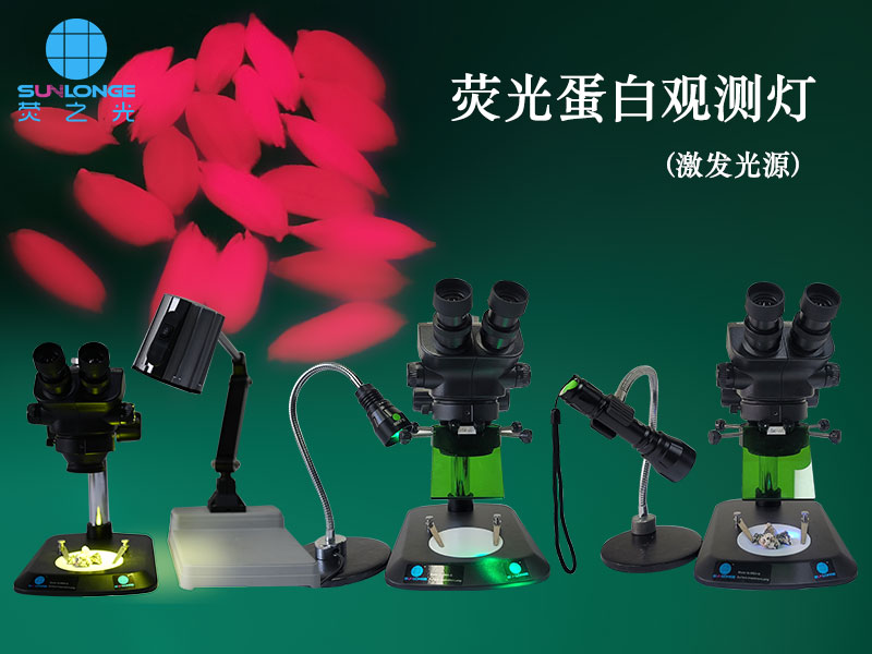 Mcherry和tdtomato荧光蛋白可以用什么激发和观测？